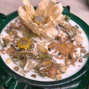 Floral Spider display